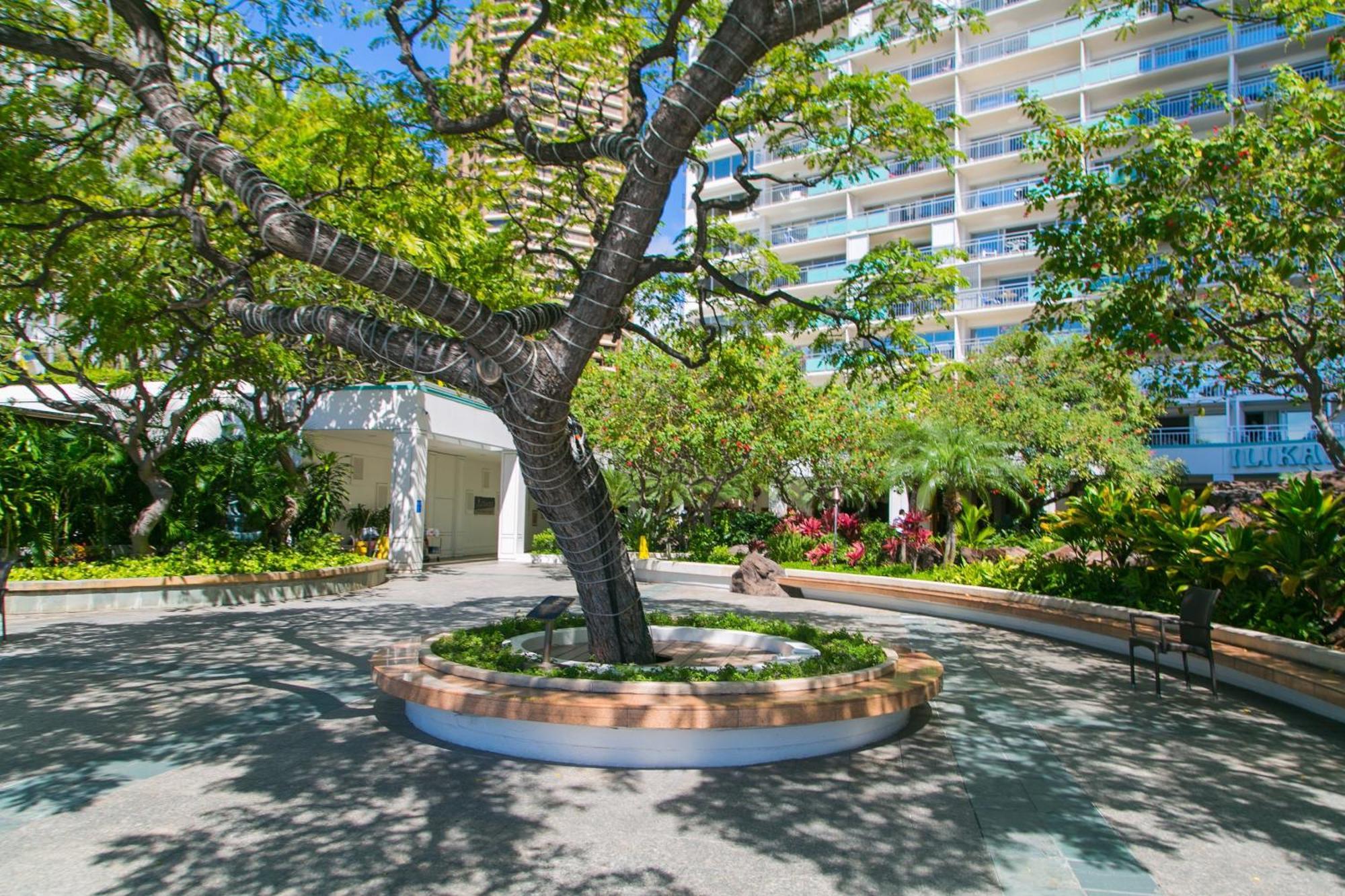 Ilikai Tower 1812 Lagoon View 1Br 호놀룰루 외부 사진